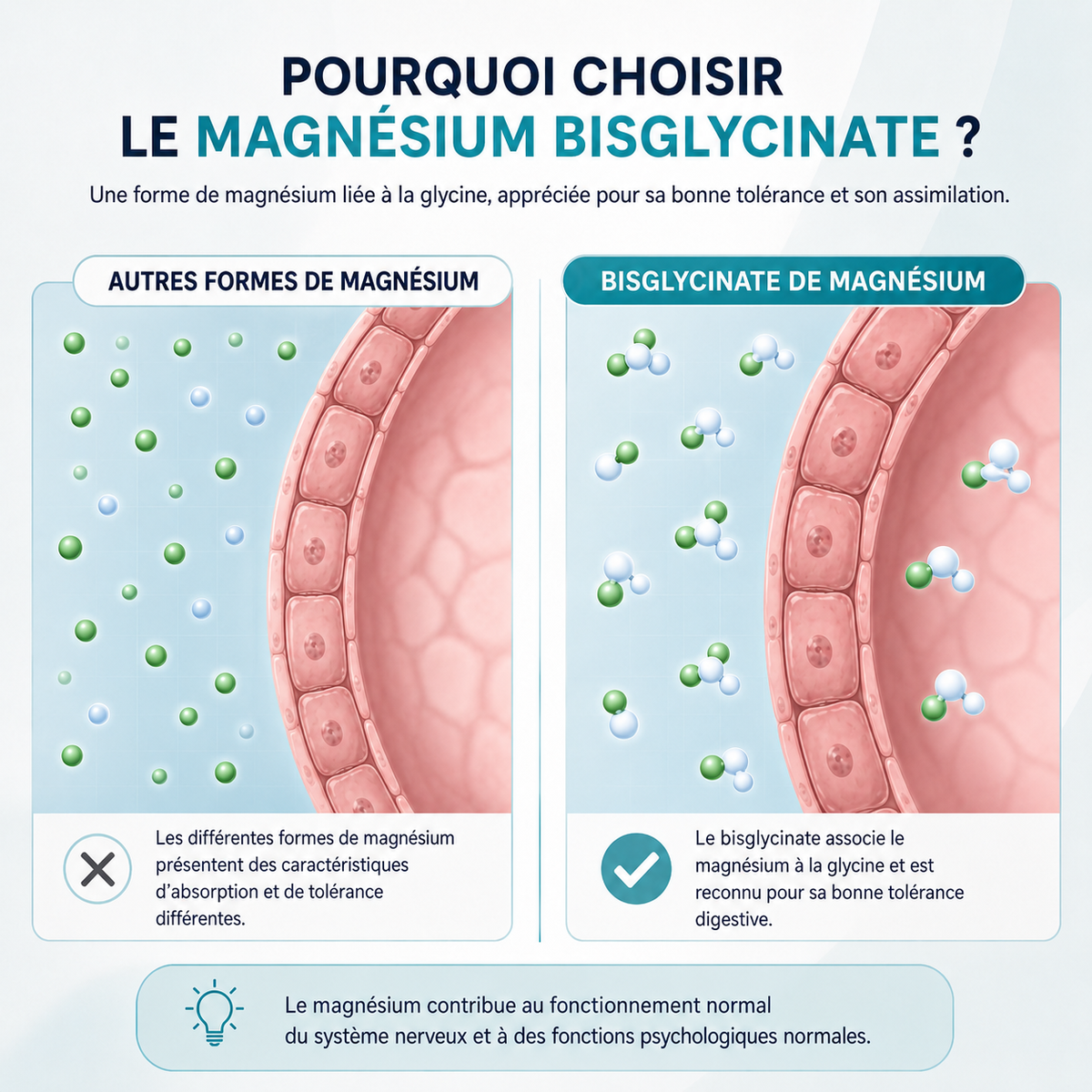 Gummies Magnésium Bisglycinate Nesio
